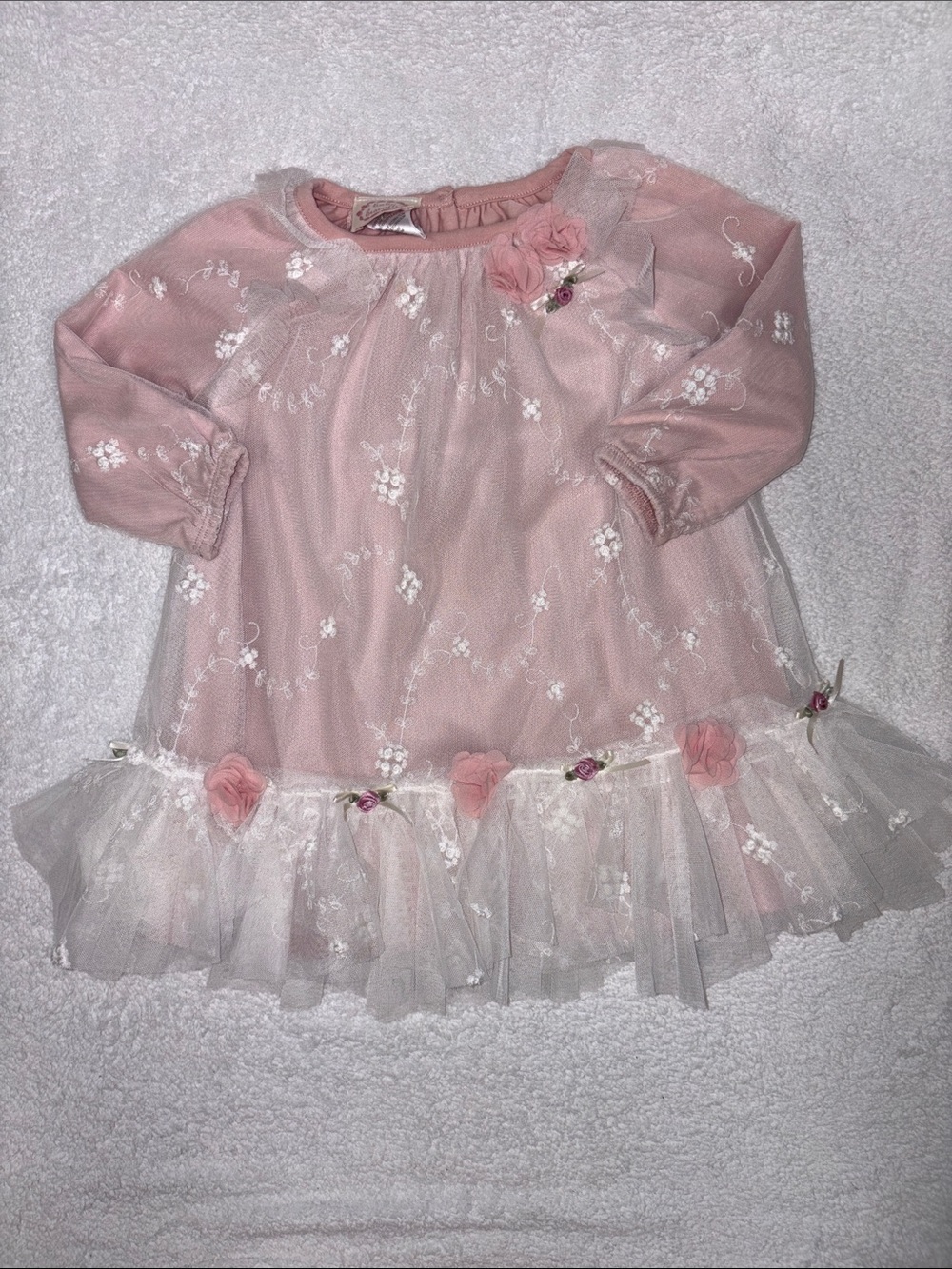Baby biscotti embroidered mesh rosette sheer long sleeve dress 18m